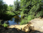 Dinkel in het Lutterzand